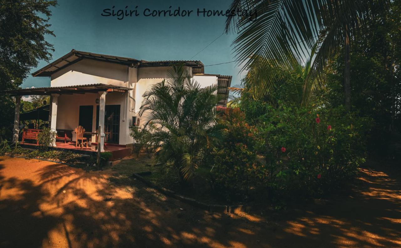 Sigiri Corridor Home Stay シギリヤ エクステリア 写真
